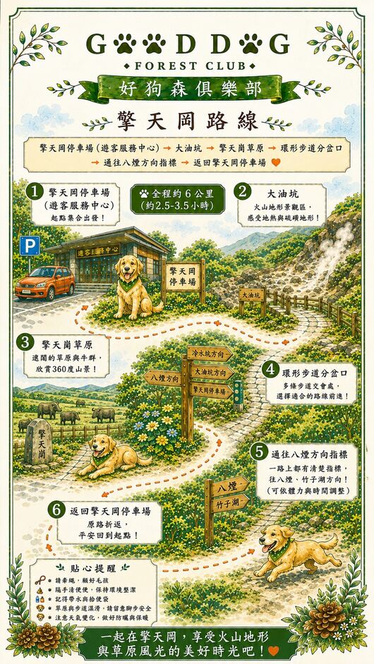 擎天崗路線圖