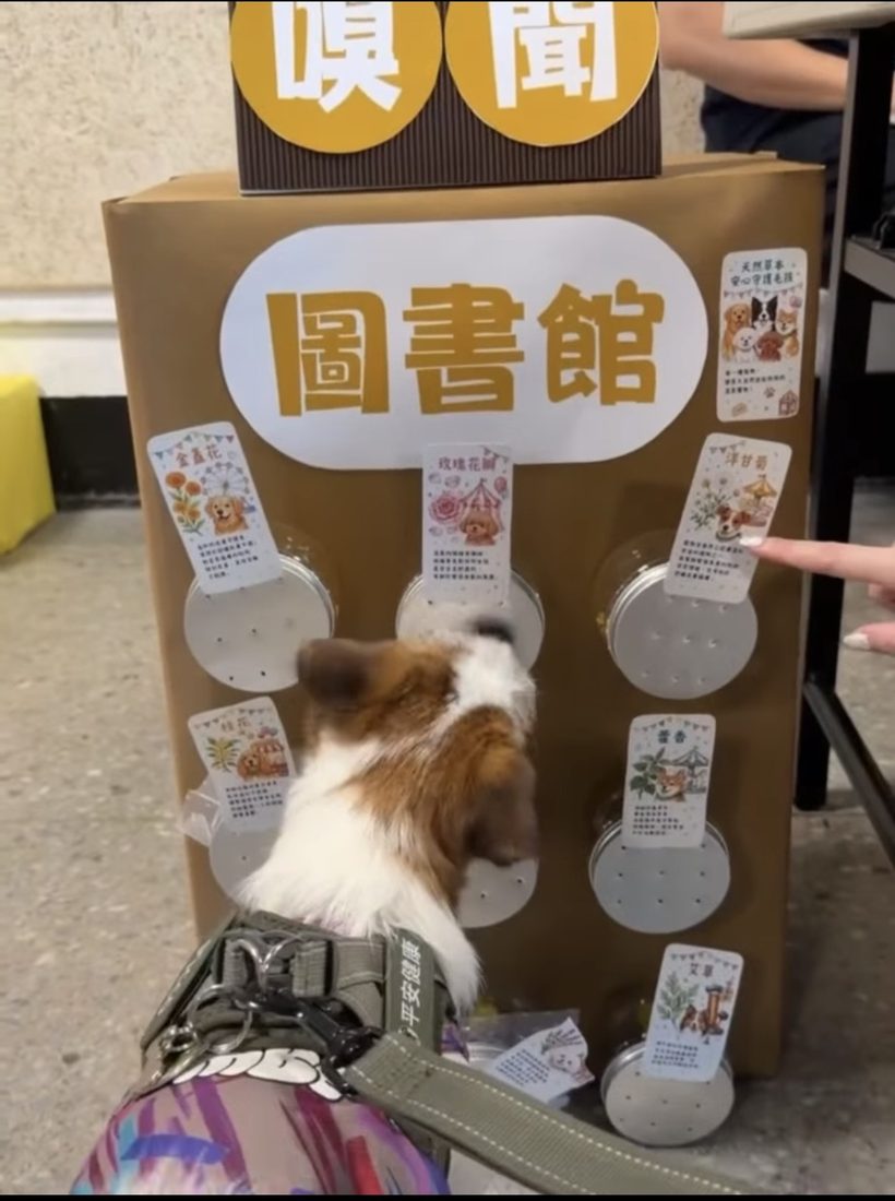 好狗森嗅聞園遊會照片 3