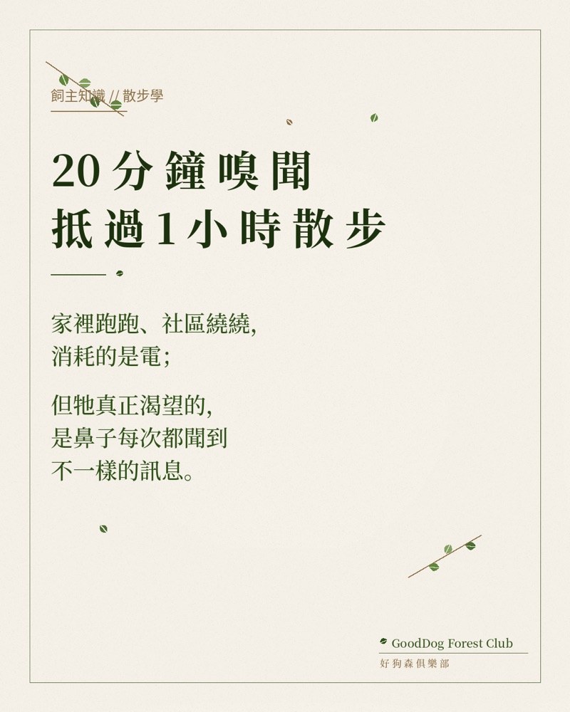 嗅聞大冒險