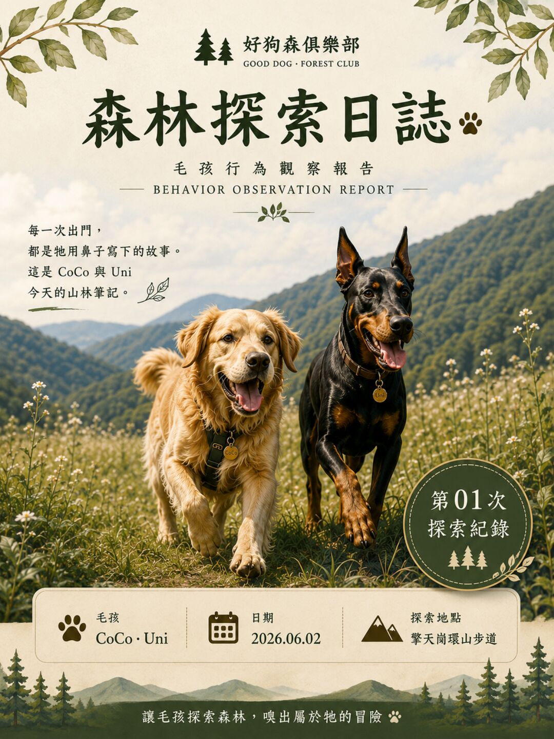 真實探索報告範例第 1 頁