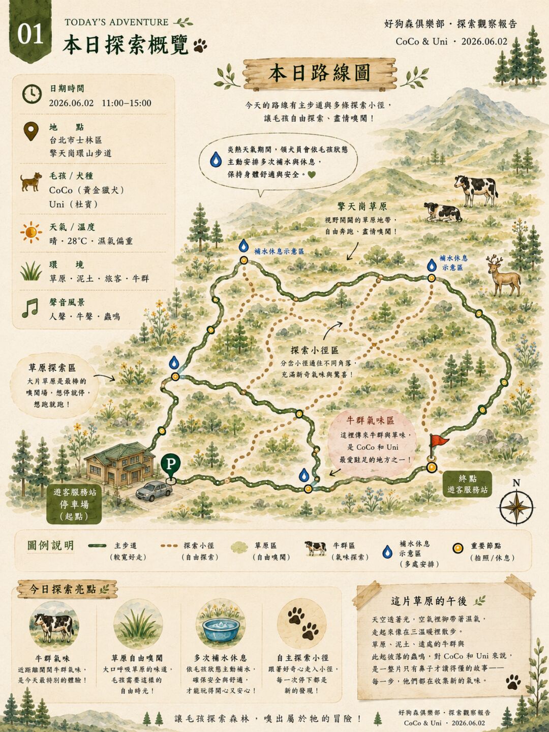 真實探索報告範例第 2 頁